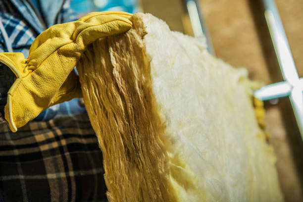 Best Insulation Removal Services  in Nicholson, MS