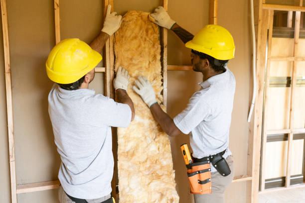 Best Wall Insulation Contractor  in Nicholson, MS